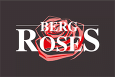 Berg Roses